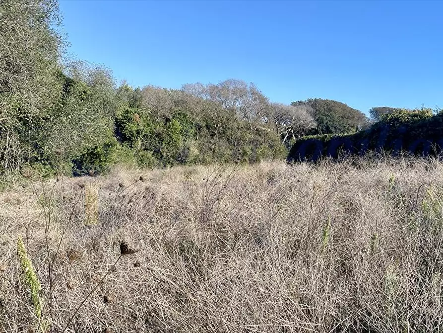 Immagine 7 di Terreno agricolo in vendita  in Via dei Rutuli a Aprilia