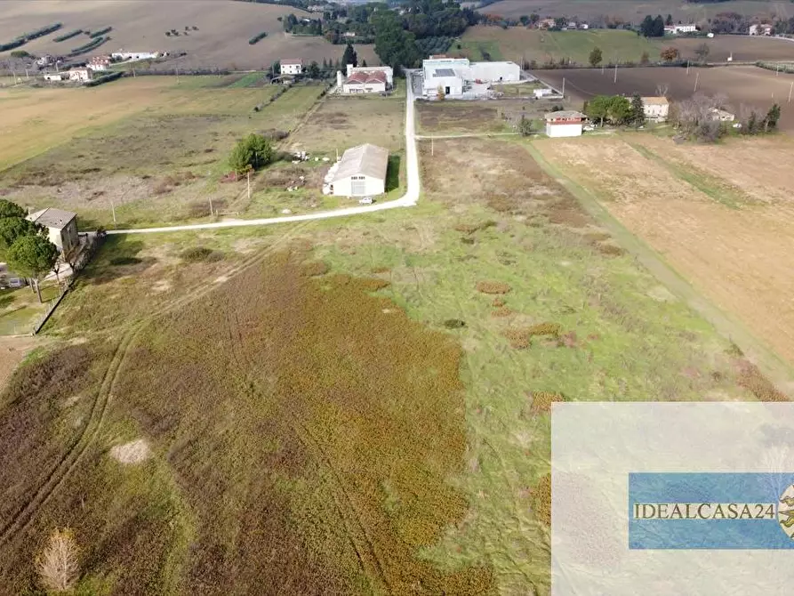 Immagine 19 di Terreno agricolo in vendita  in Treia C.da Chiaravalle snc a Treia
