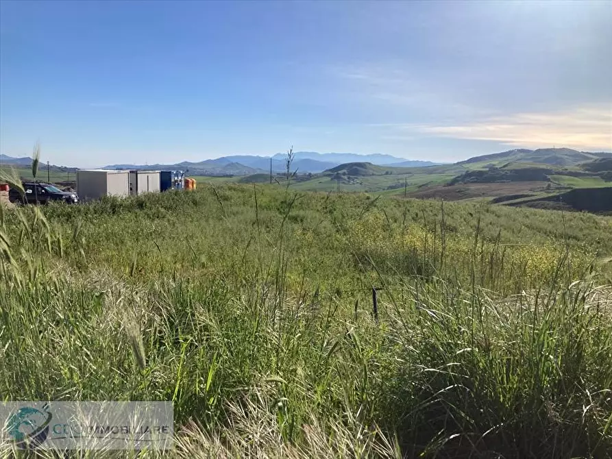 Immagine 1 di Terreno agricolo in vendita  in Borgo Riena a Castronovo Di Sicilia