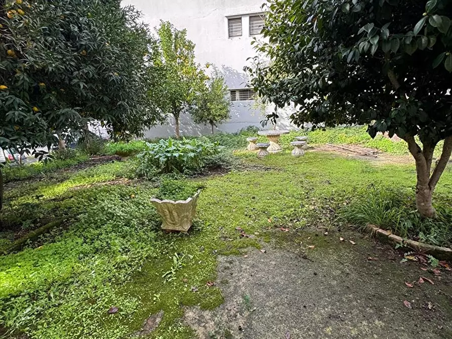 Immagine 4 di Villa in vendita  a Polistena