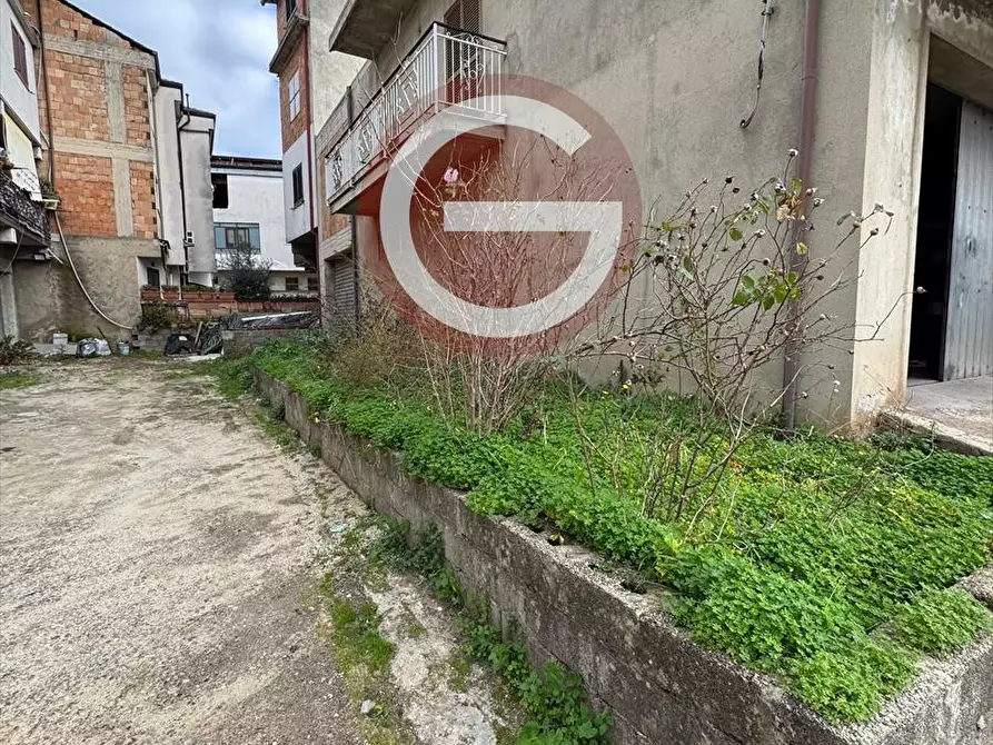 Immagine 3 di Casa indipendente in vendita  a Polistena