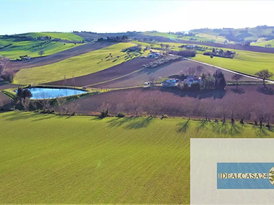 Immagine 25 di Casa indipendente in vendita  in C.da Case Nuove a Montelupone