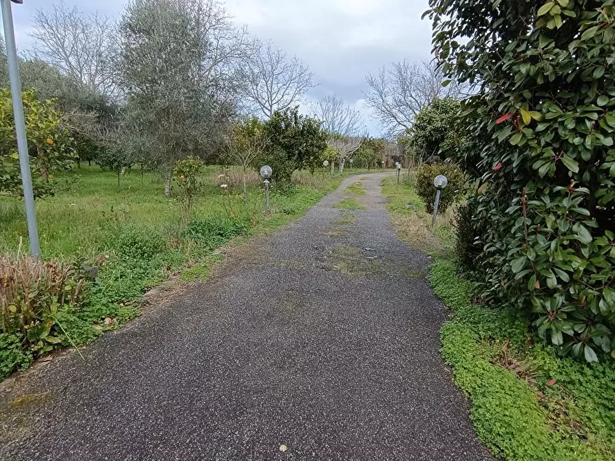 Immagine 12 di Abitazione tipica in affitto  a Taurianova