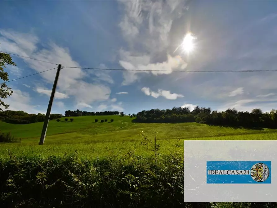Immagine 18 di Terreno agricolo in vendita  in Corridonia Contrada Ponte tavola a Corridonia