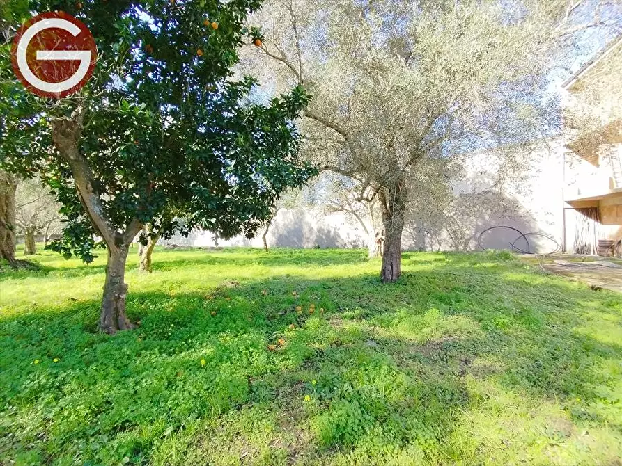 Immagine 7 di Agriturismo in vendita  a Taurianova