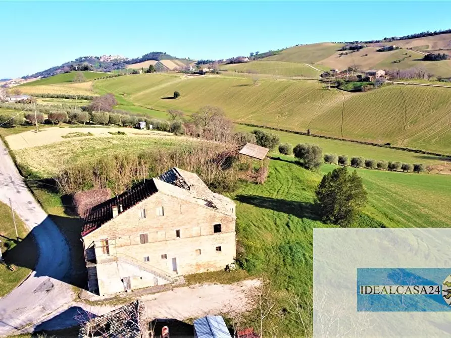 Immagine 21 di Casa indipendente in vendita  in C.da Case Nuove a Montelupone