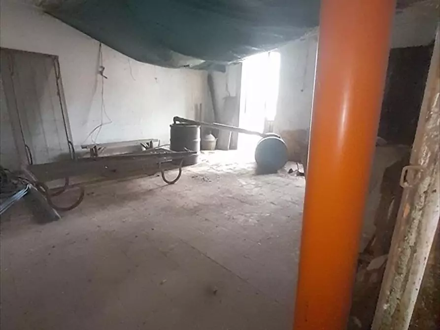 Immagine 4 di Casa indipendente in vendita  a Cittanova