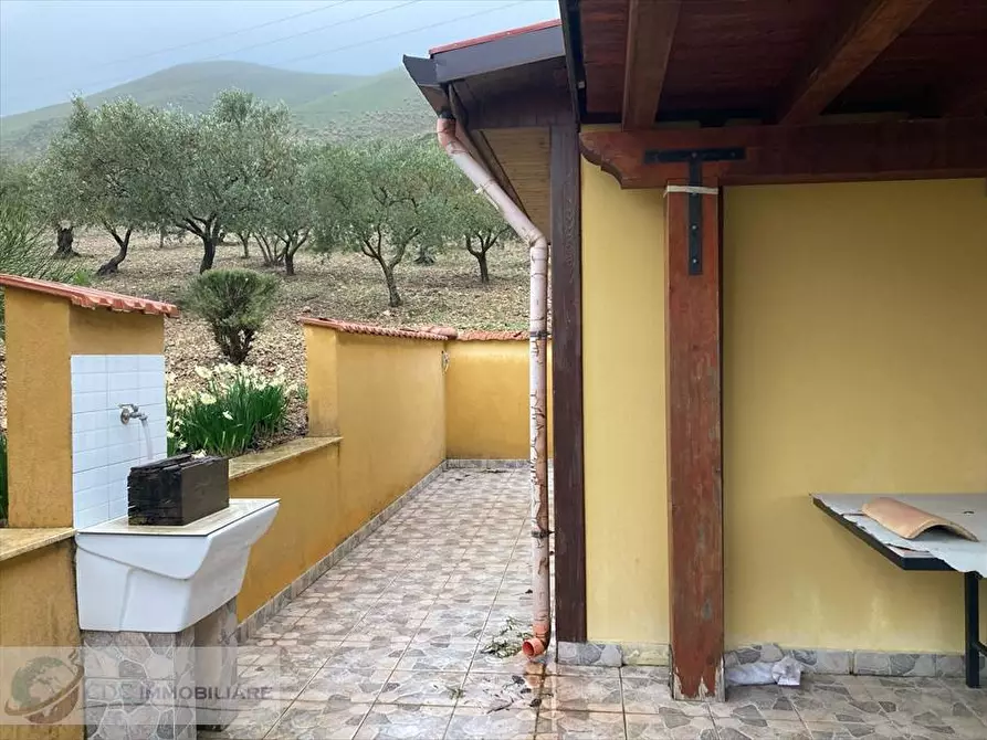 Immagine 6 di Terreno agricolo in vendita  in ss 118  a Prizzi