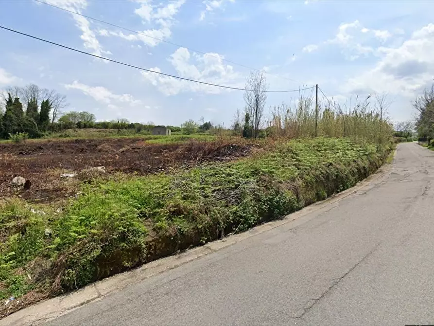 Immagine 2 di Terreno industriale in vendita  a Cinquefrondi