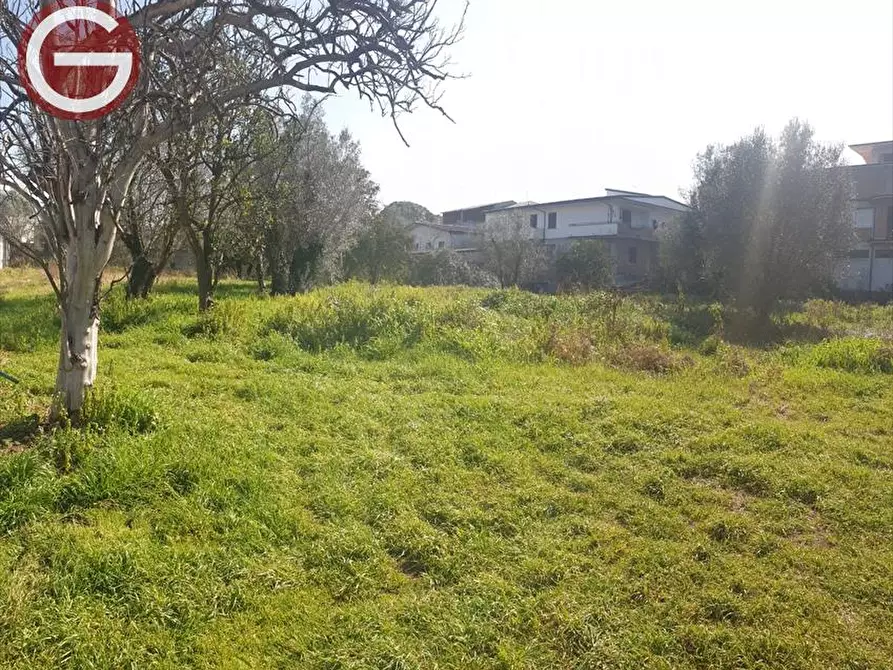Immagine 3 di Terreno industriale in vendita  a Taurianova
