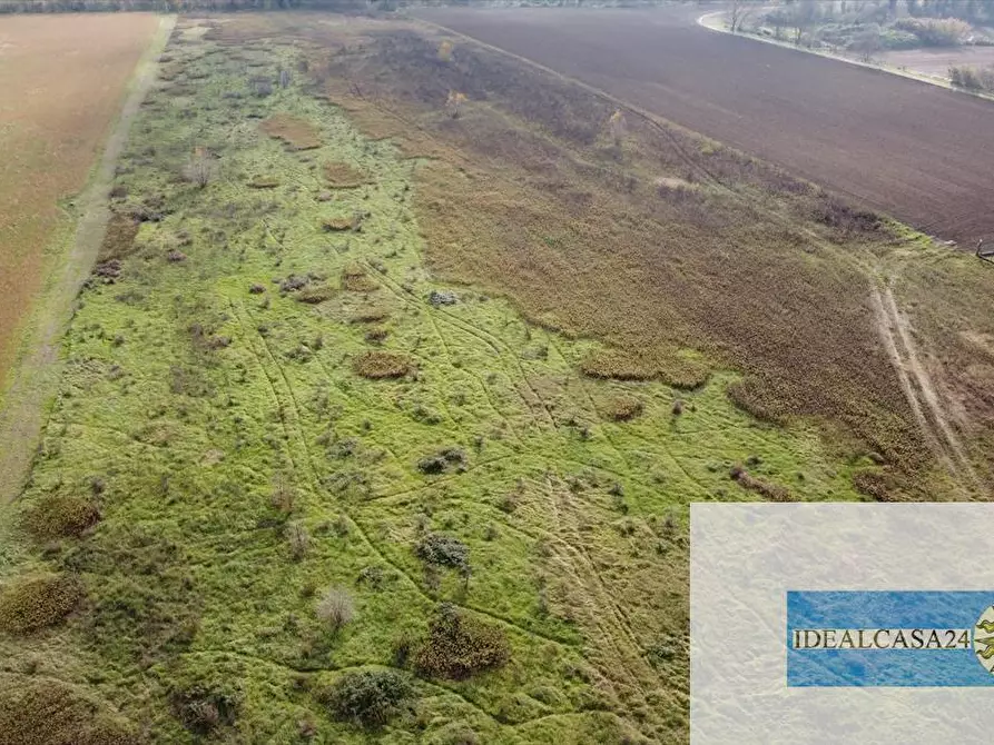 Immagine 2 di Terreno agricolo in vendita  in Treia C.da Chiaravalle snc a Treia