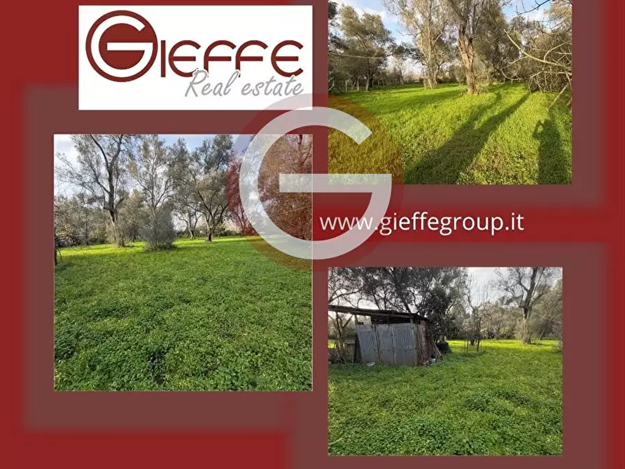 Immagine 1 di Terreno agricolo in vendita  a Taurianova