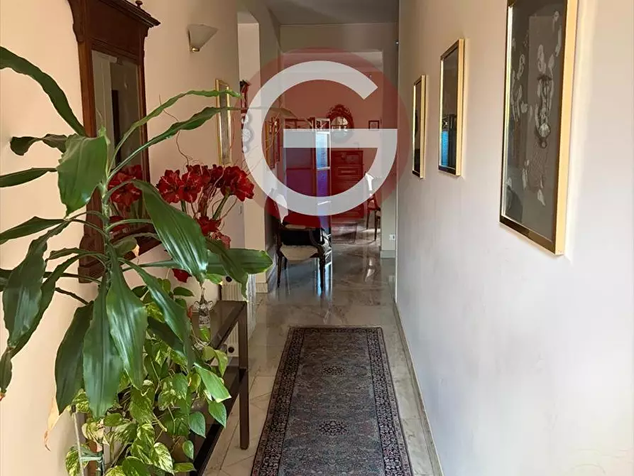 Immagine 3 di Casa indipendente in vendita  a Cinquefrondi