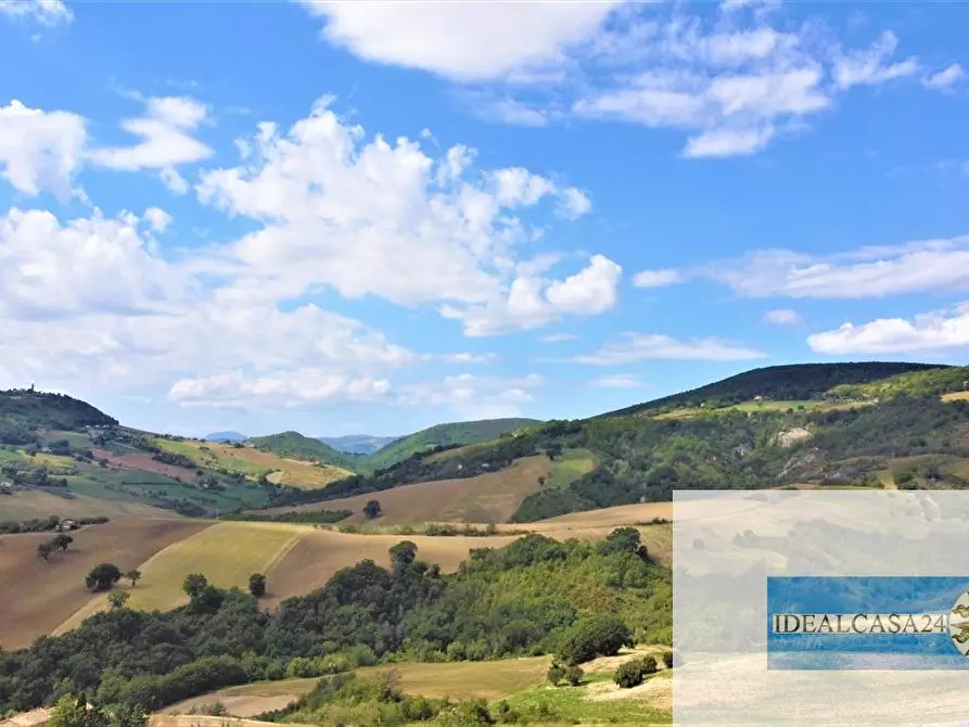 Immagine 12 di Terreno edificabile in vendita  a Treia