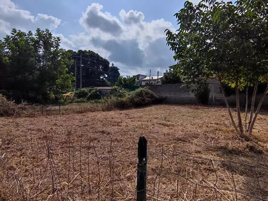 Immagine 4 di Terreno edificabile in vendita  a Taurianova