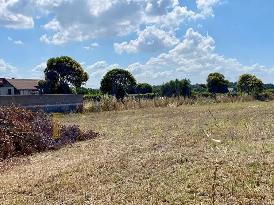 Immagine 3 di Terreno edificabile in vendita  in Via Dei Gladioli a Ardea