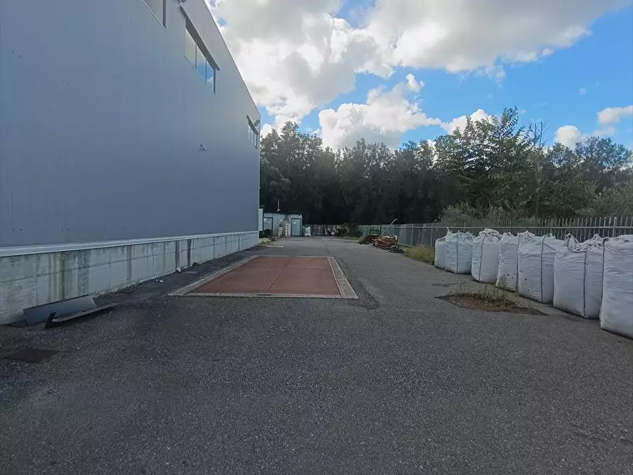 Immagine 4 di Capannone industriale in affitto  a Taurianova