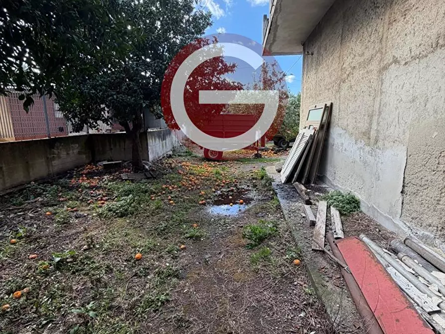 Immagine 17 di Appartamento in vendita  in Viale Merano a Cittanova