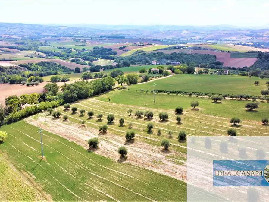 Immagine 21 di Terreno edificabile in vendita  a Treia