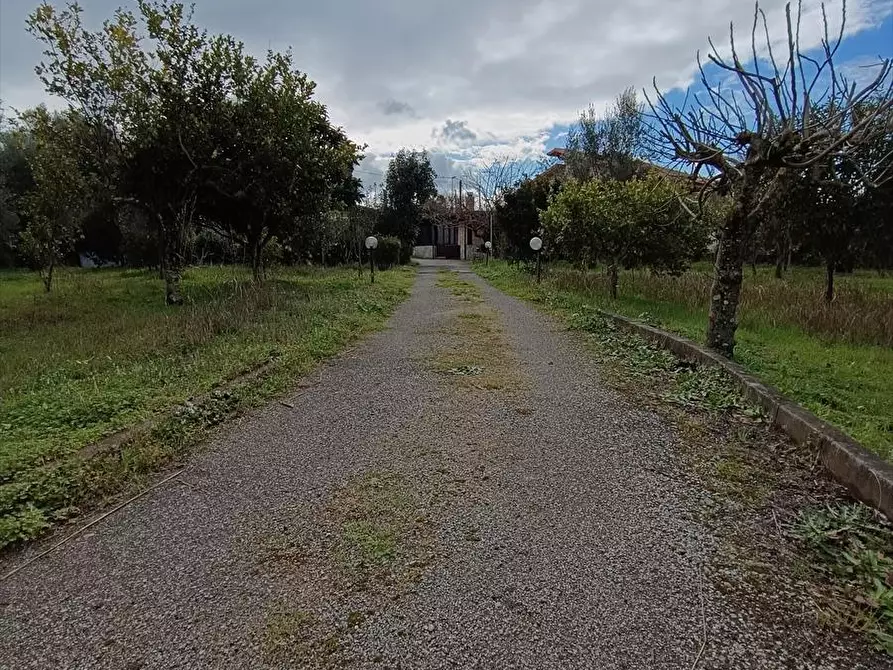 Immagine 15 di Abitazione tipica in affitto  a Taurianova