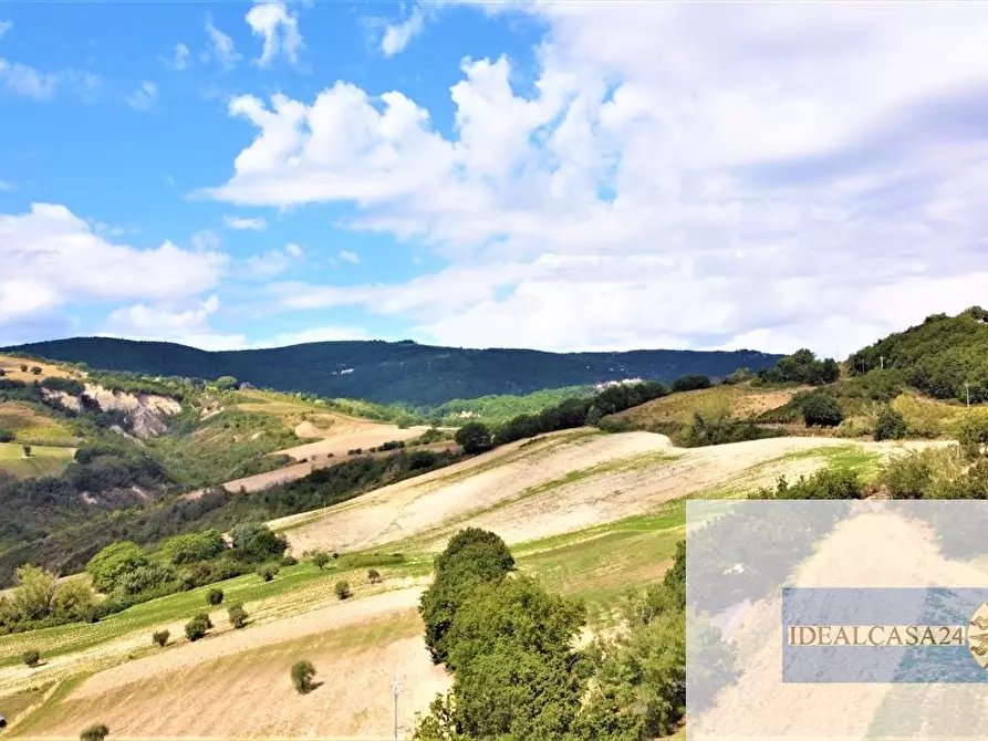 Immagine 6 di Terreno edificabile in vendita  a Treia