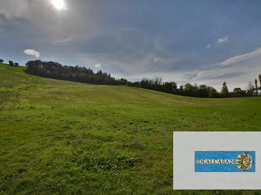 Immagine 30 di Terreno agricolo in vendita  in Corridonia Contrada Ponte tavola a Corridonia