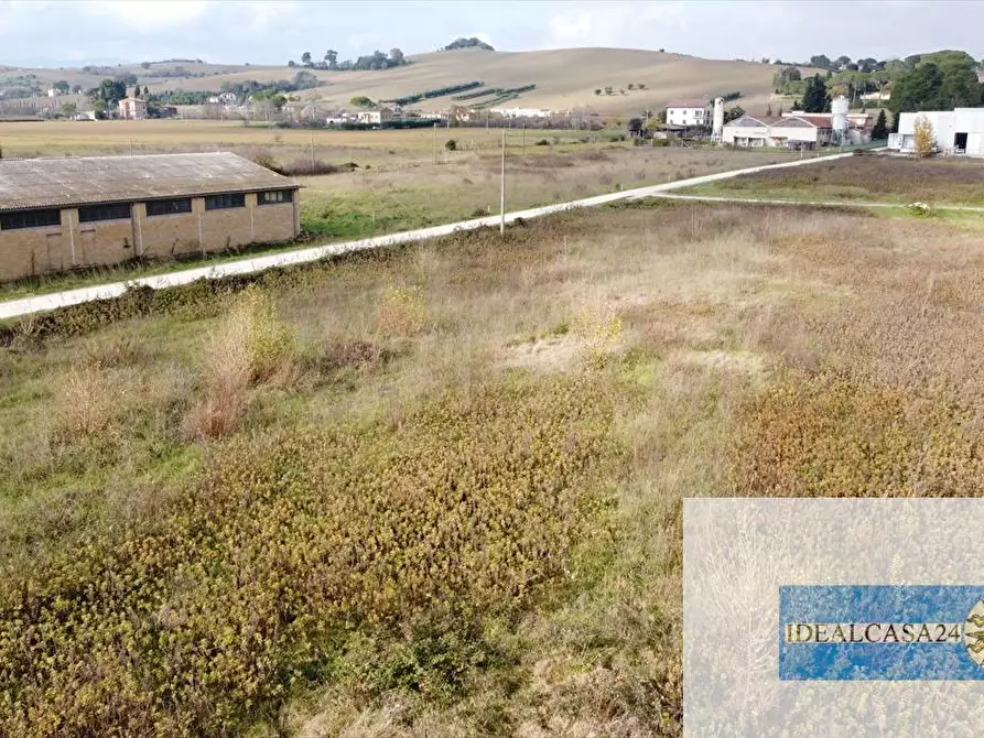 Immagine 25 di Terreno agricolo in vendita  in Treia C.da Chiaravalle snc a Treia