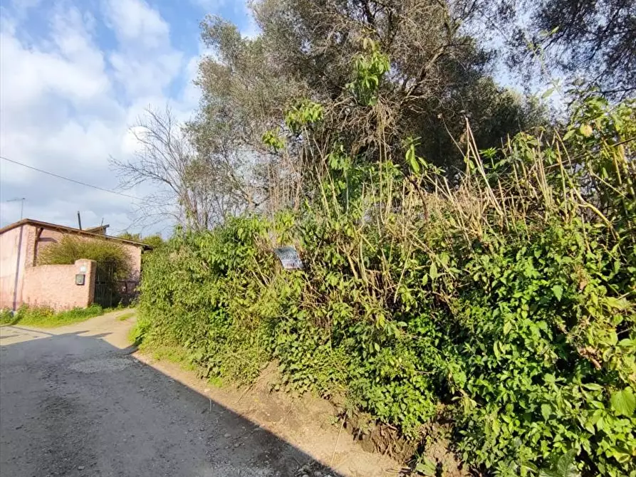 Immagine 11 di Terreno agricolo in vendita  a Taurianova