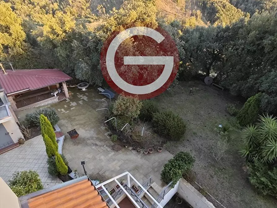 Immagine 26 di Villa in vendita  a Cittanova