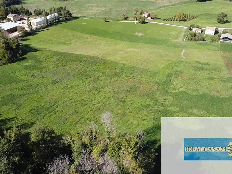 Immagine 12 di Terreno agricolo in vendita  in Corridonia Contrada Ponte tavola a Corridonia
