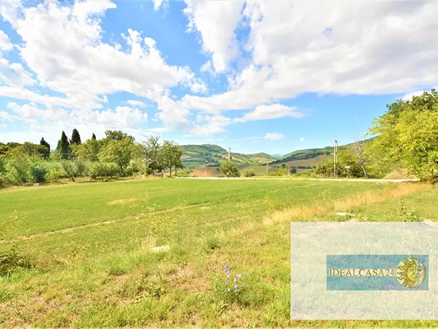 Immagine 22 di Terreno edificabile in vendita  a Treia