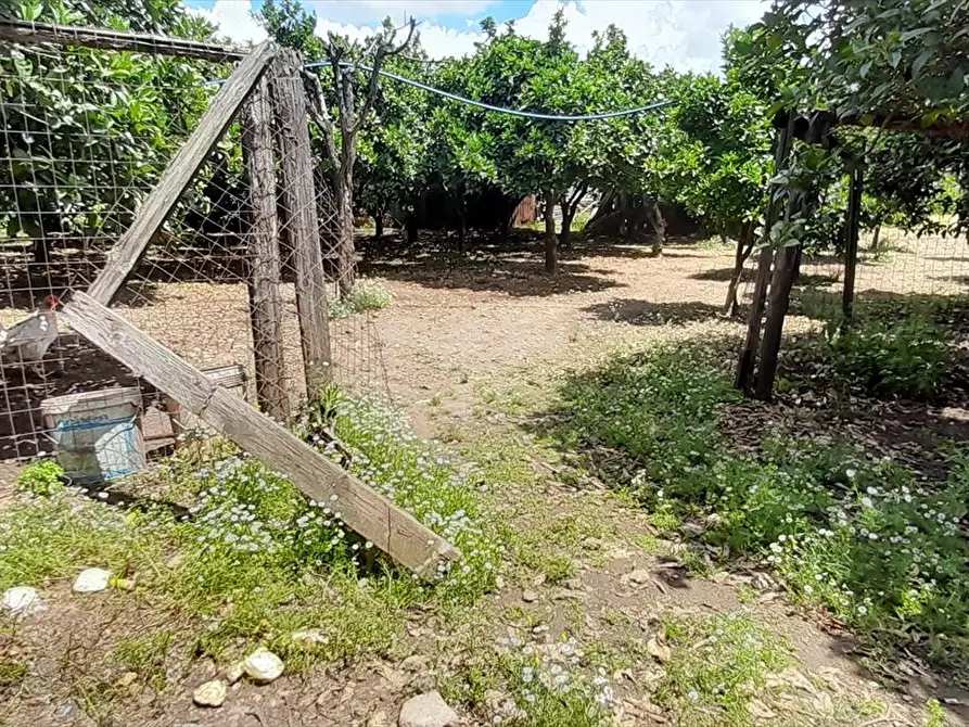 Immagine 3 di Terreno edificabile in vendita  a Polistena