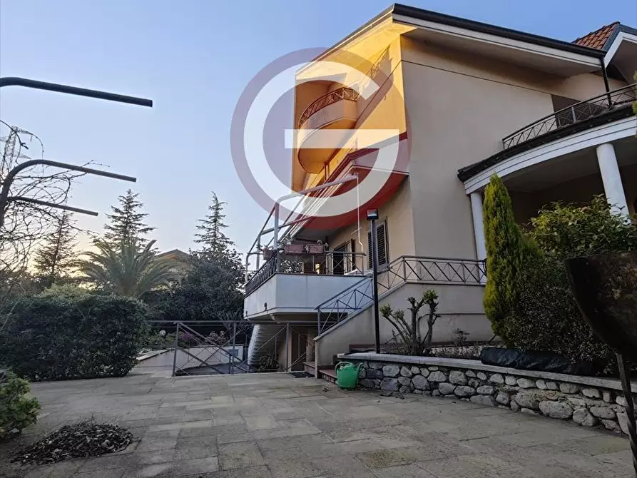 Immagine 2 di Villa in vendita  a Cittanova