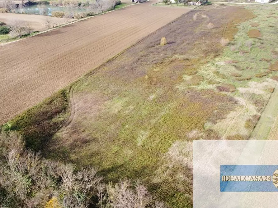 Immagine 9 di Terreno agricolo in vendita  in Treia C.da Chiaravalle snc a Treia