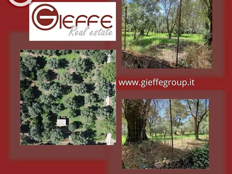 Immagine 1 di Terreno agricolo in vendita  a Taurianova