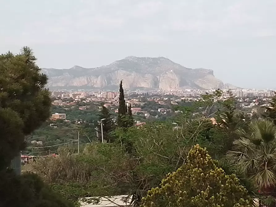 Immagine 28 di Villa in vendita  in Via G. Donizetti a Altofonte