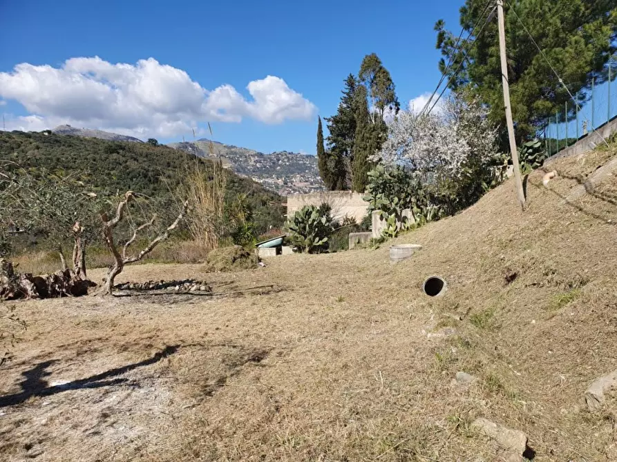 Immagine 16 di Terreno agricolo in vendita  in Viale Astronauti a Altofonte