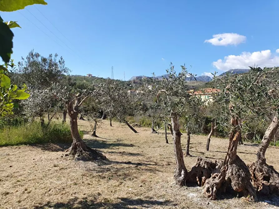 Immagine 19 di Terreno agricolo in vendita  in Viale Astronauti a Altofonte