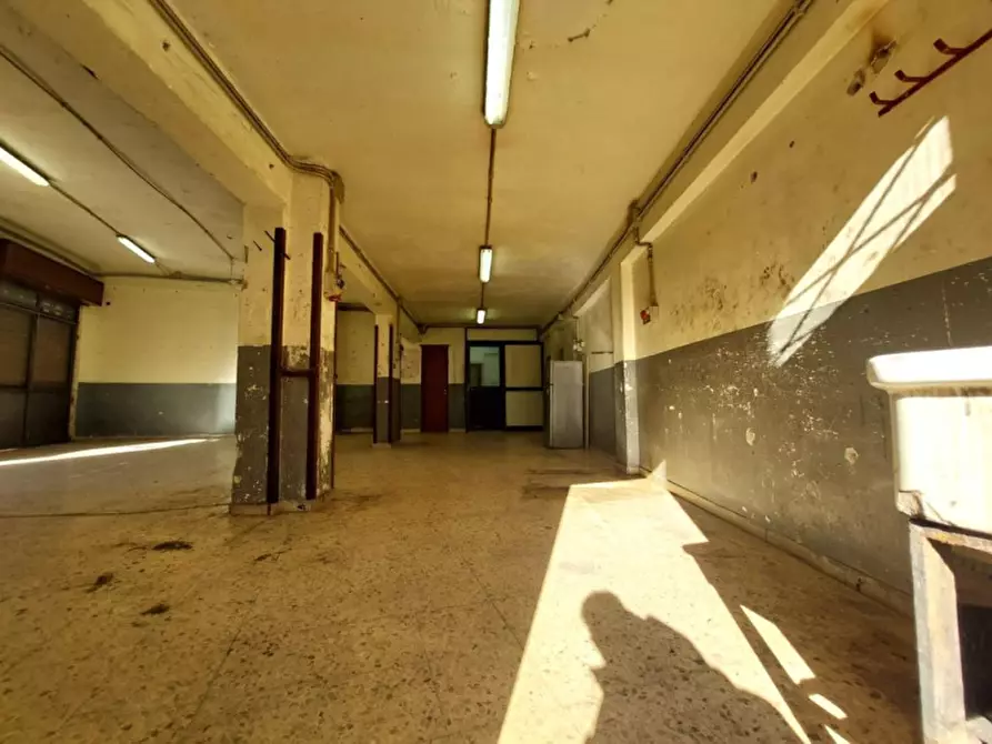 Immagine 19 di Negozio in vendita  in Via Antonio Pigafetta a Palermo