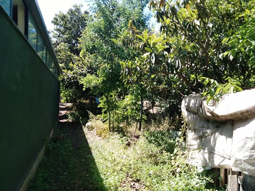 Immagine 6 di Rustico / casale in vendita  in Via Grotta a Boscoreale