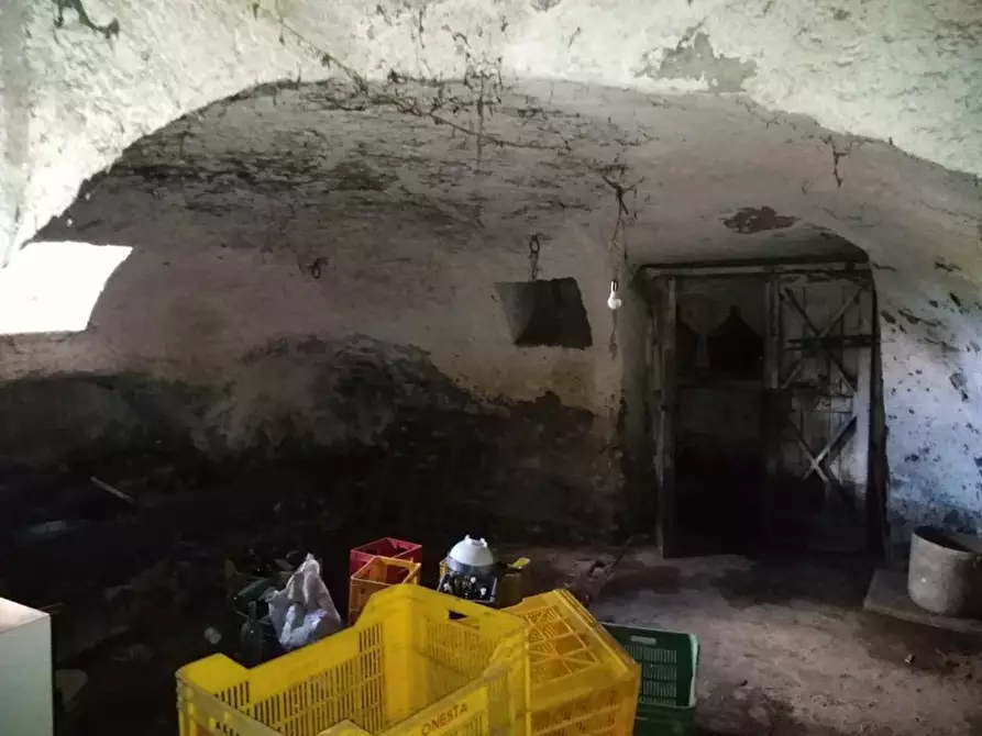 Immagine 7 di Rustico / casale in vendita  in Via Grotta a Boscoreale