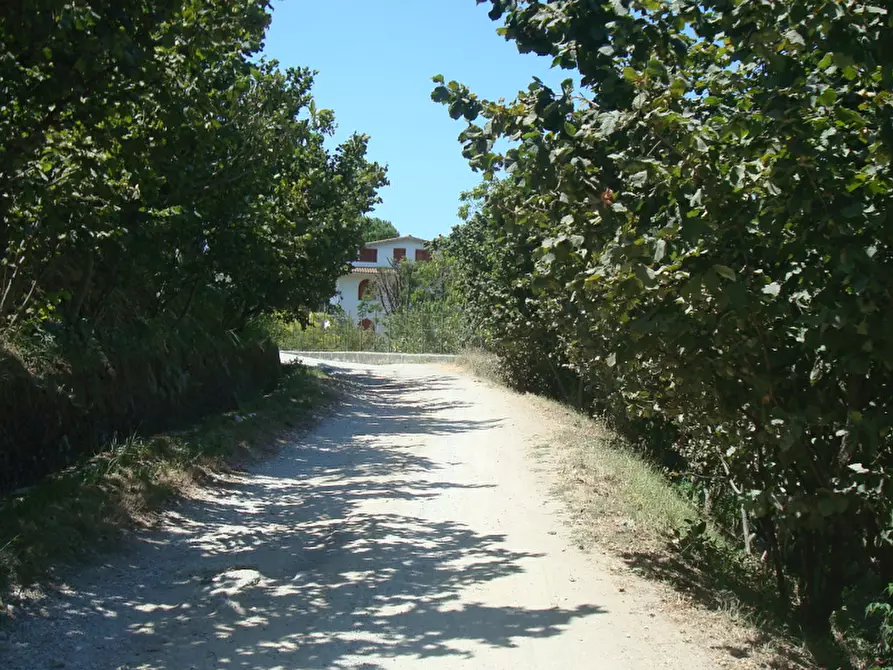 Immagine 1 di Terreno agricolo in vendita  in Via Cesina a San Marzano Sul Sarno