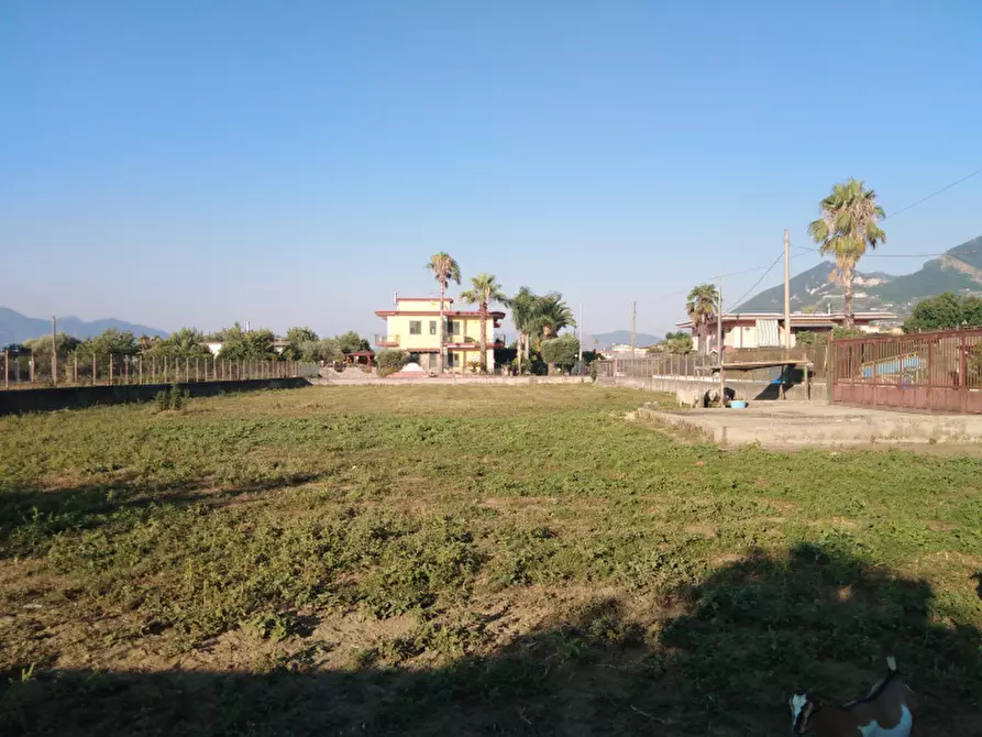 Immagine 1 di Terreno agricolo in vendita  in Via Paludicella a Angri