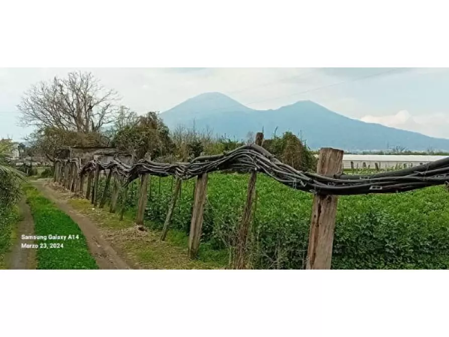 Immagine 1 di Terreno agricolo in vendita  in Via Longole a Scafati