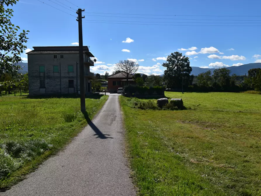 Immagine 35 di Villa in vendita  in Località Marcellino a Montesano Sulla Marcellana