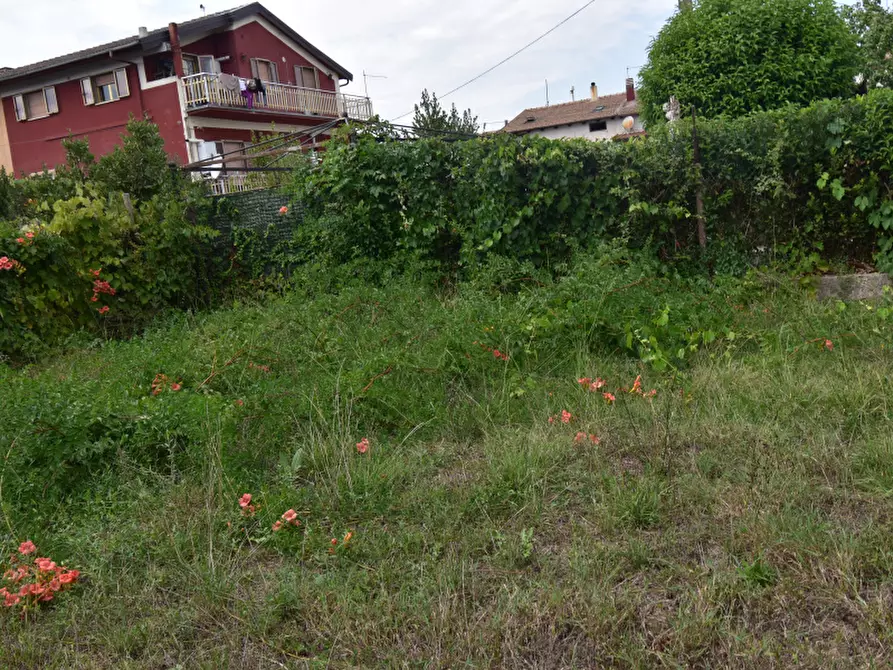 Immagine 16 di Villa in vendita  in Via Dante Alighieri a Montesano Sulla Marcellana