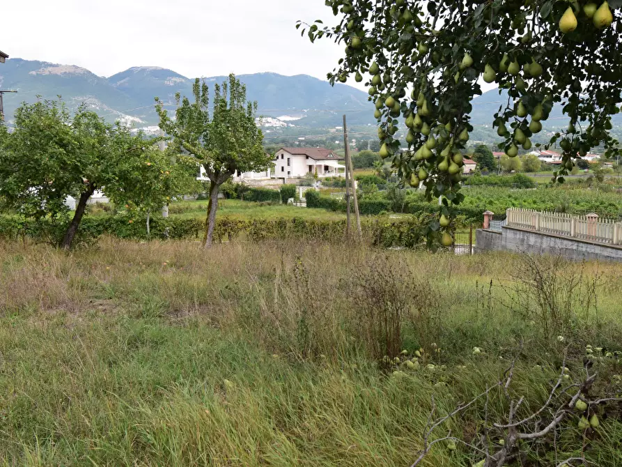 Immagine 17 di Villa in vendita  in Via Dante Alighieri a Montesano Sulla Marcellana