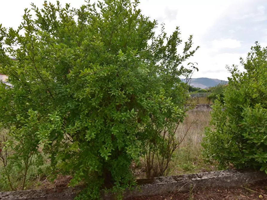 Immagine 21 di Villa in vendita  in Via Dante Alighieri a Montesano Sulla Marcellana