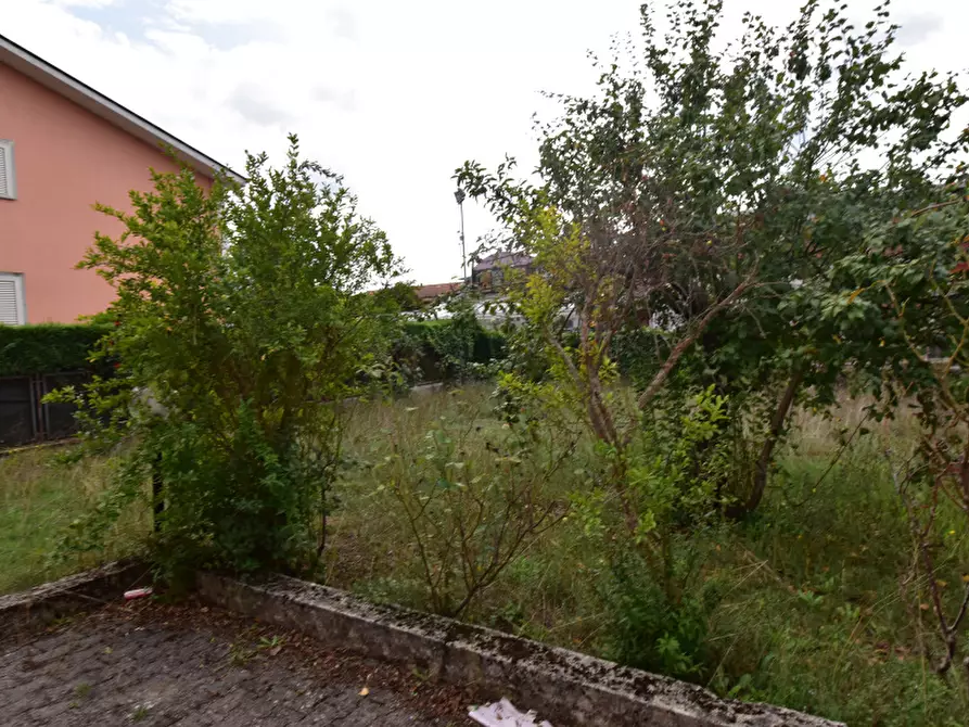 Immagine 8 di Villa in vendita  in Via Dante Alighieri a Montesano Sulla Marcellana