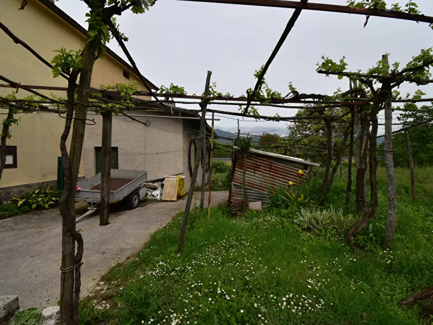 Immagine 4 di Villa in vendita  in SS517 a Buonabitacolo